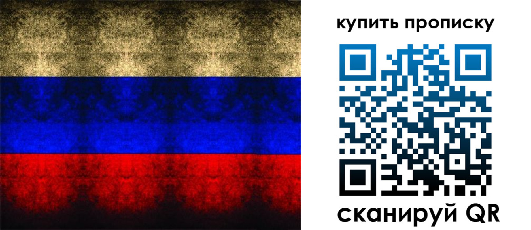 прописка в Смоленской области